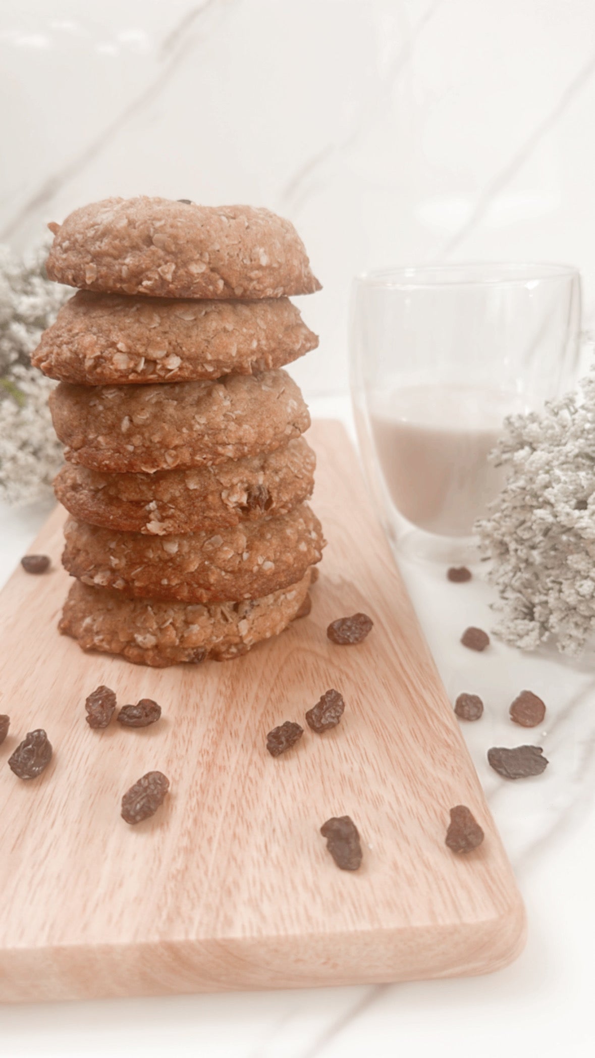 The BEST OATMEAL Cookies